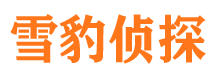 盐田市调查公司